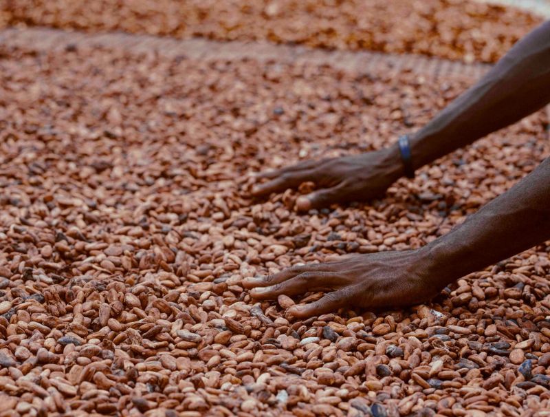 Fair trade: la cooperazione può diventare un gesto di pace