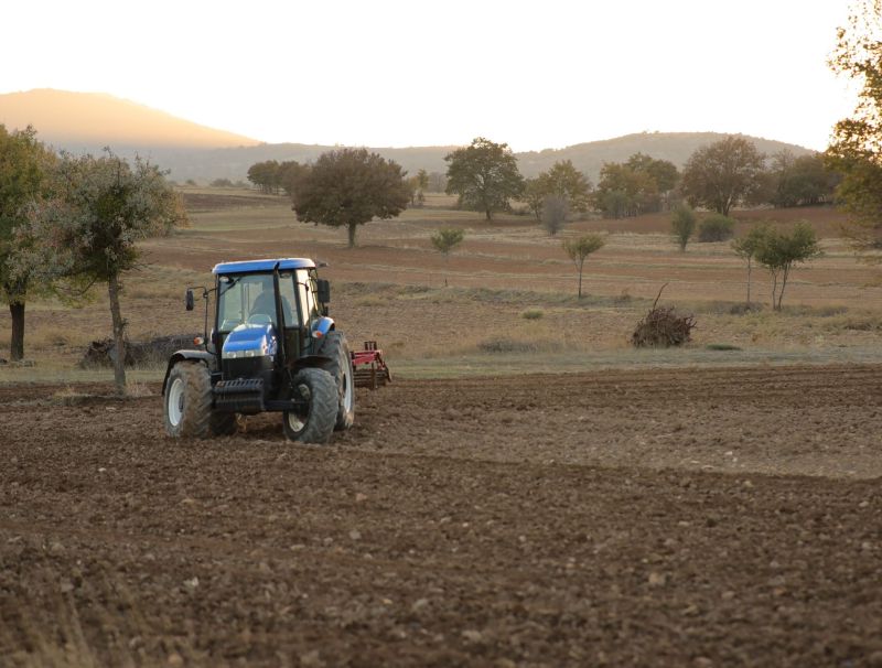 La terra che unisce: come le cooperative agricole stanno ridisegnando il futuro d’Italia