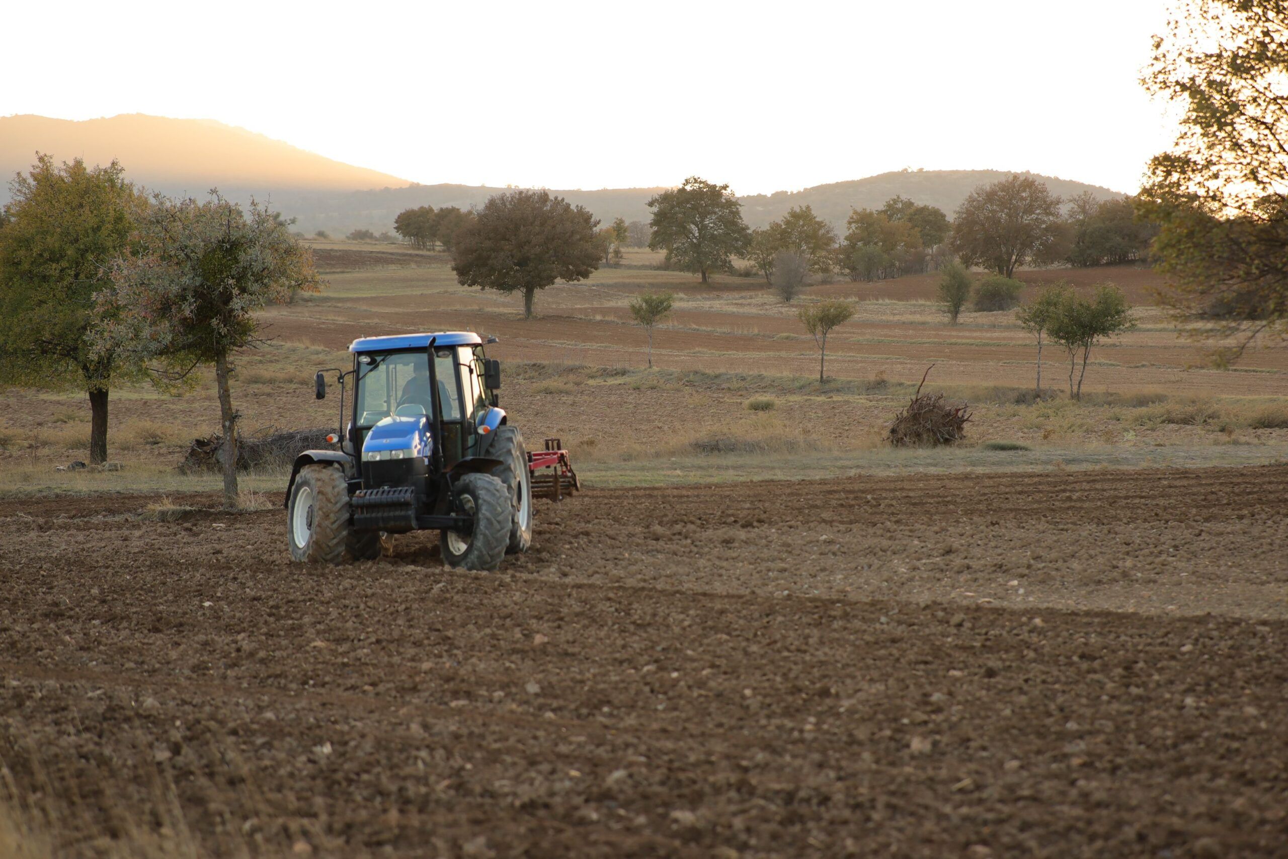 La terra che unisce: come le cooperative agricole stanno ridisegnando il futuro d’Italia