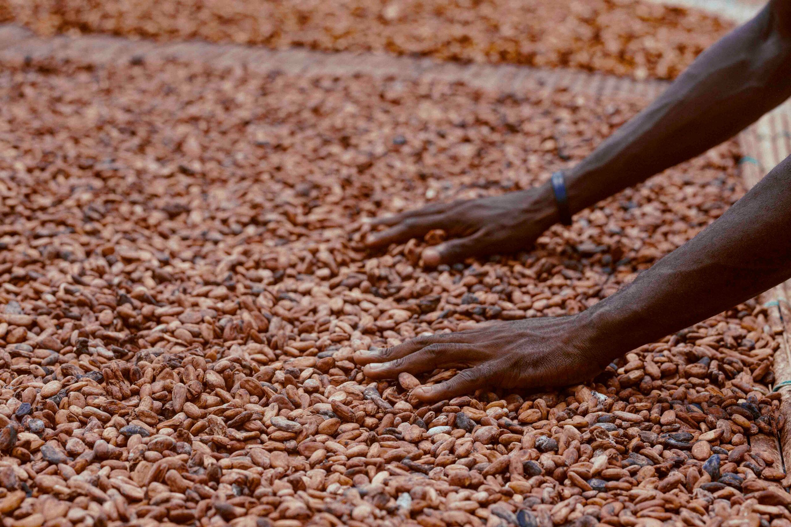 Fair trade: la cooperazione può diventare un gesto di pace