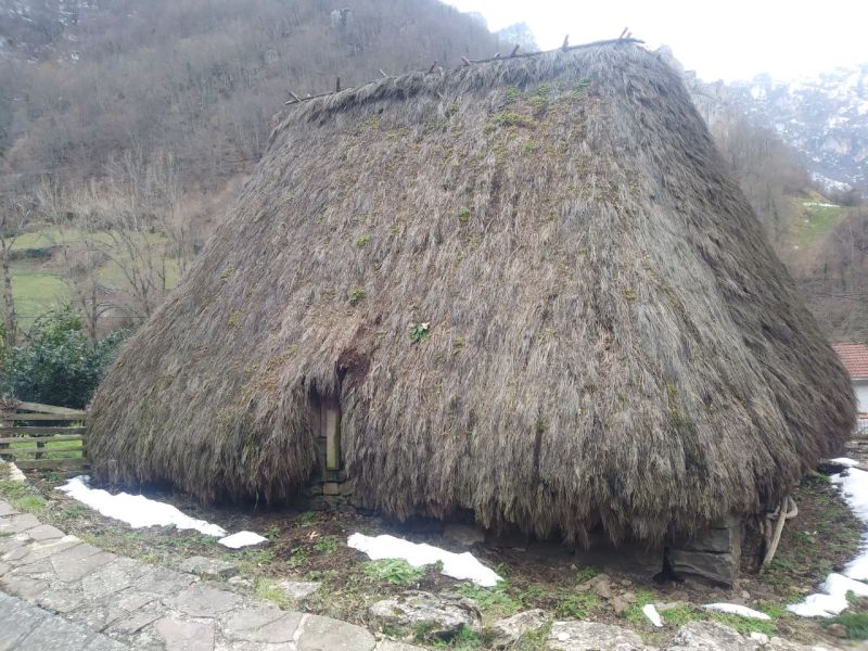 PASSEGGIATA A VEIGAS