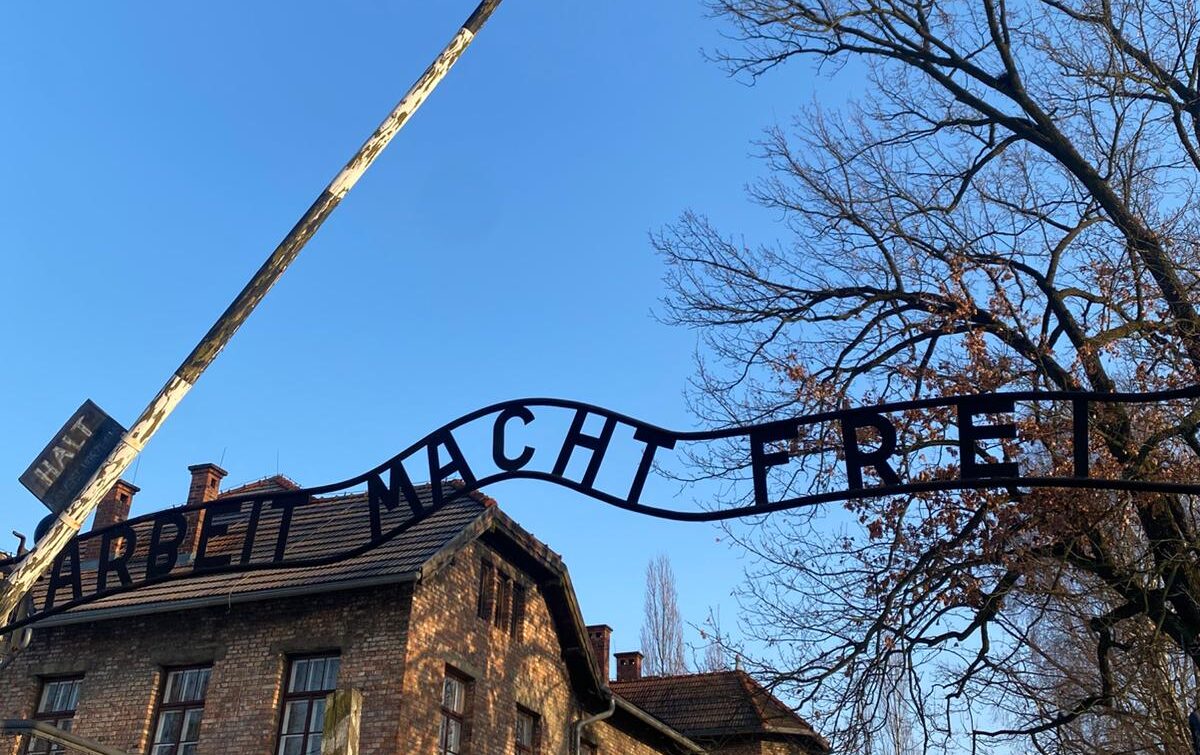 Viaggio nella Memoria: la potenza di un “perchè”