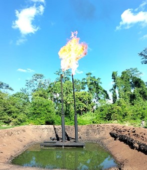 Escursione tossica – Toxic Tour. Un inferno in mezzo al paradiso chiamato Amazzonia