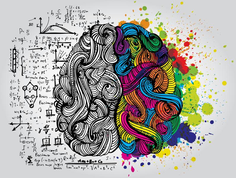 GARDNER – LE INTELLIGENZE MULTIPLE