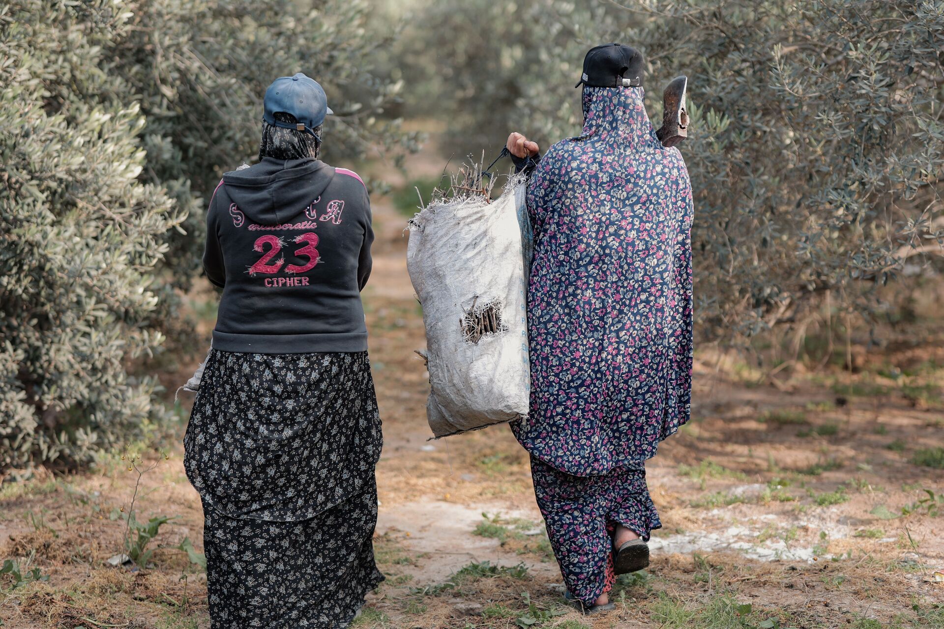 PALESTINA — LA RACCOLTA DELLE OLIVE COME SOLIDARIETÀ NONVIOLENTA