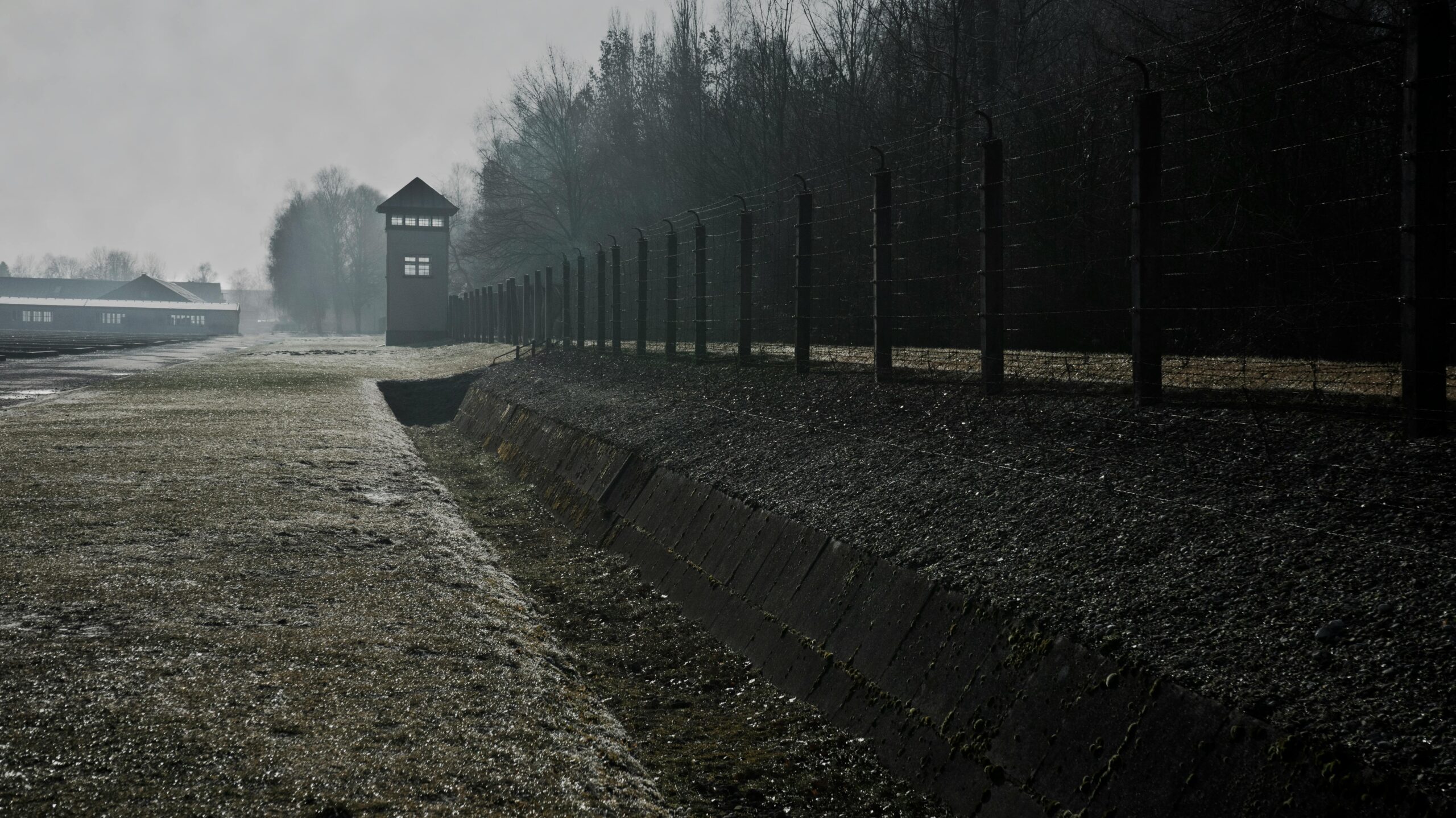 27 gennaio, giornata della Memoria: il ricordo come atto civico