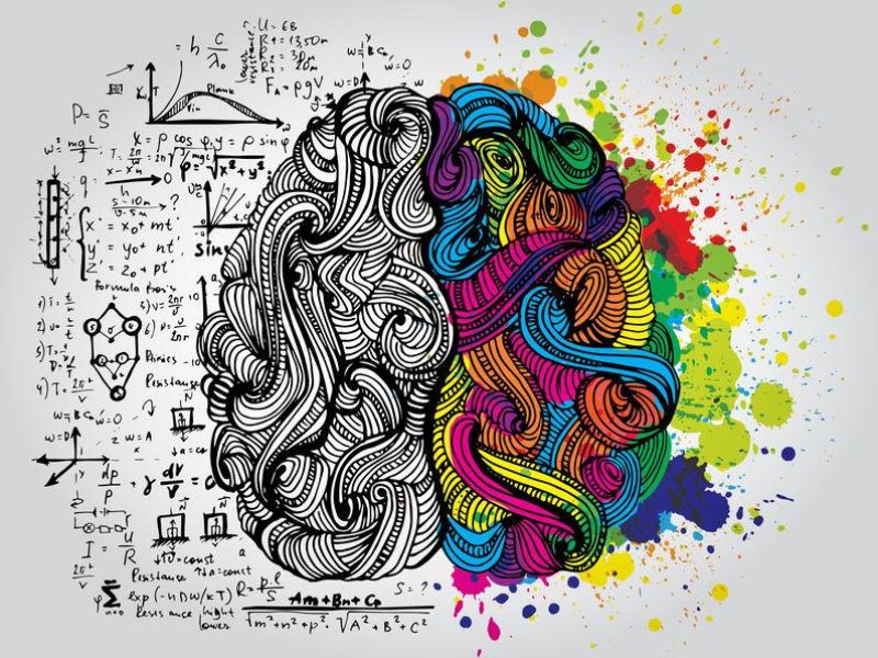 GARDNER – LE INTELLIGENZE MULTIPLE