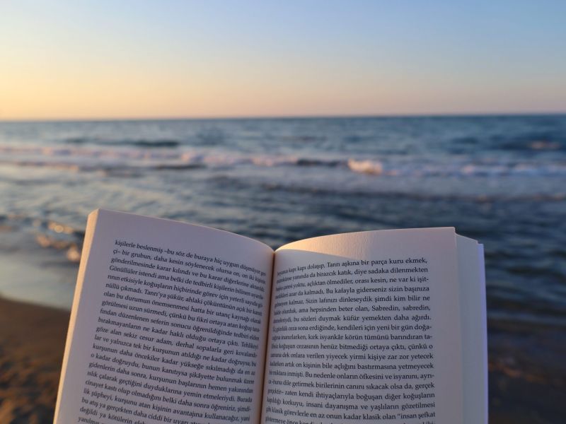 Consiglio di (ri) lettura estiva: L’Odissea di Omero