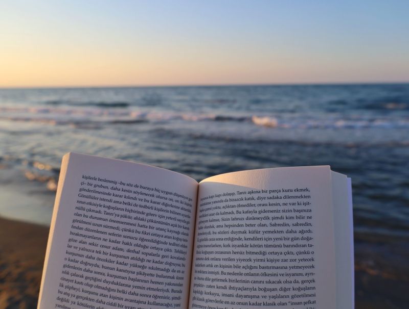 Consiglio di (ri) lettura estiva: L’Odissea di Omero